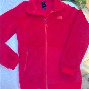 The north face jacket